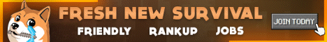 Dogecraft banner