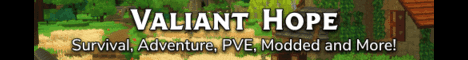 Valiant Hope banner